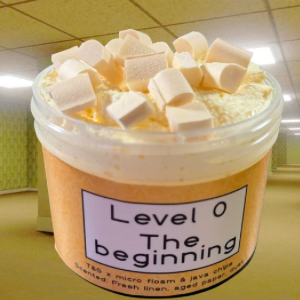 Level 0 The beginning