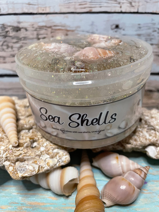 Sea shells