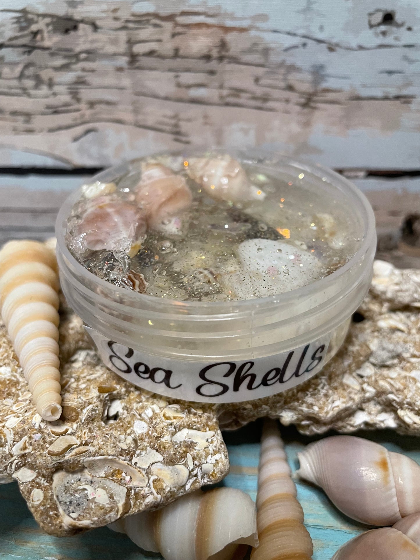 Sea shells