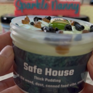 Safe House